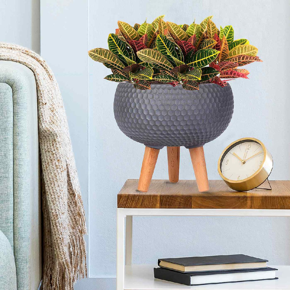 wilko Honeycomb Grey Bowl Planter on Legs 25cm Image 5