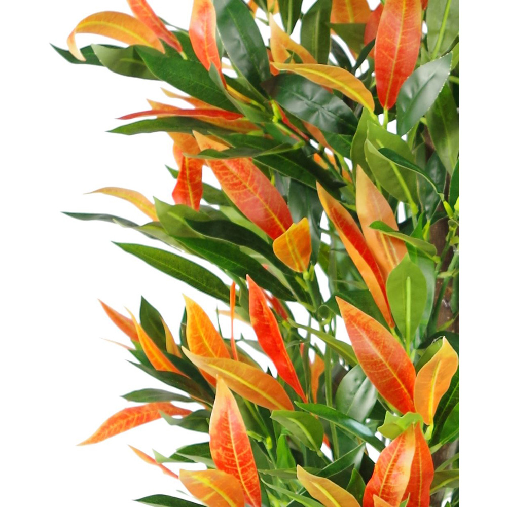 Botanik Red Green Ficus Artificial Plant with Real Wood Trunk in Pot 4.3ft Image 3