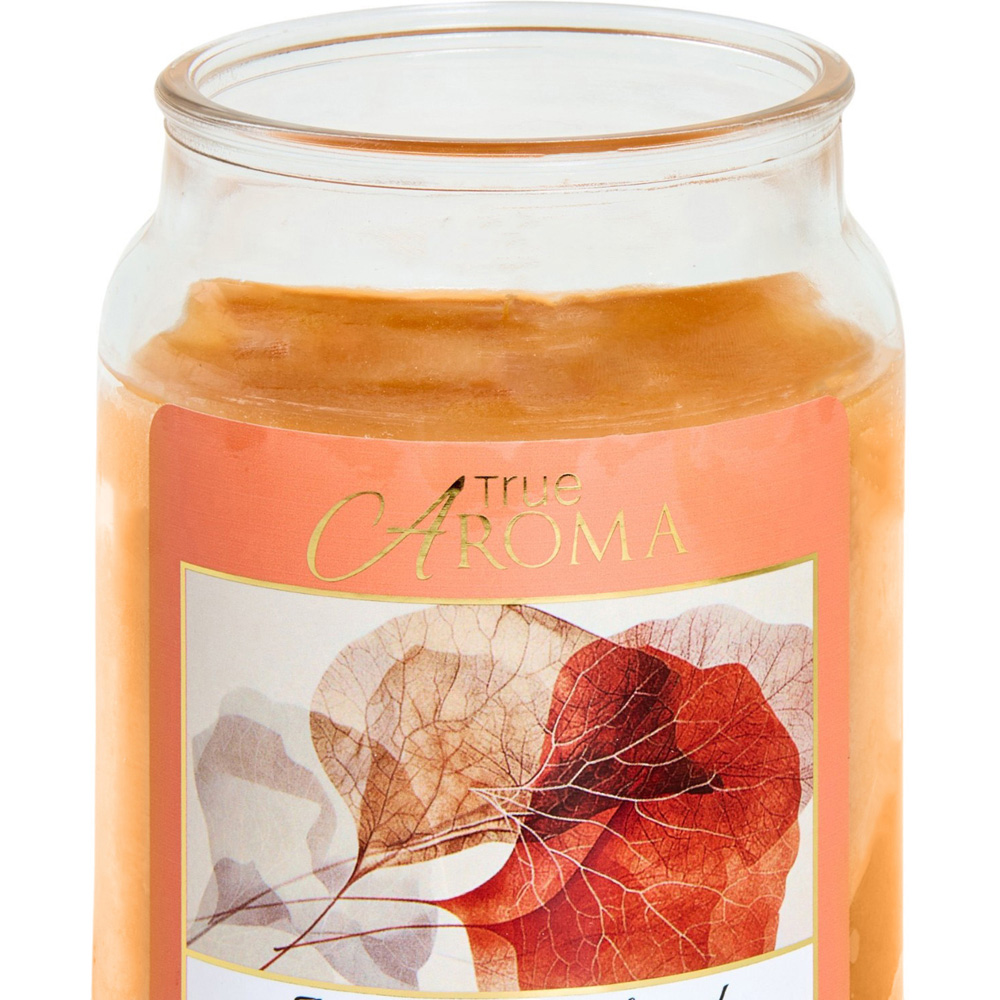 Scented Large Mason Jar Candle Amber and Sandalwood Image 3