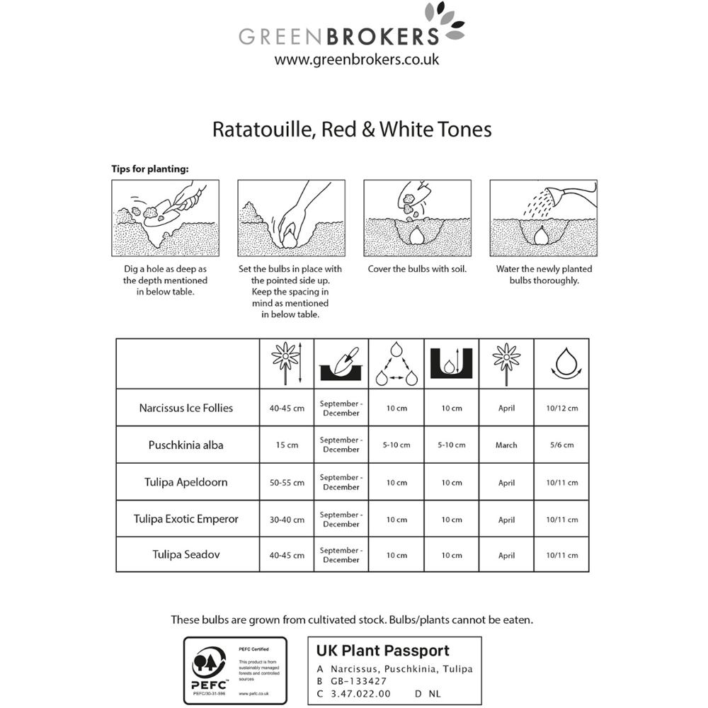GreenBrokers Dutch Ratatouille Red and White Tones Mixed Planting Bulb 30 Pack Image 3