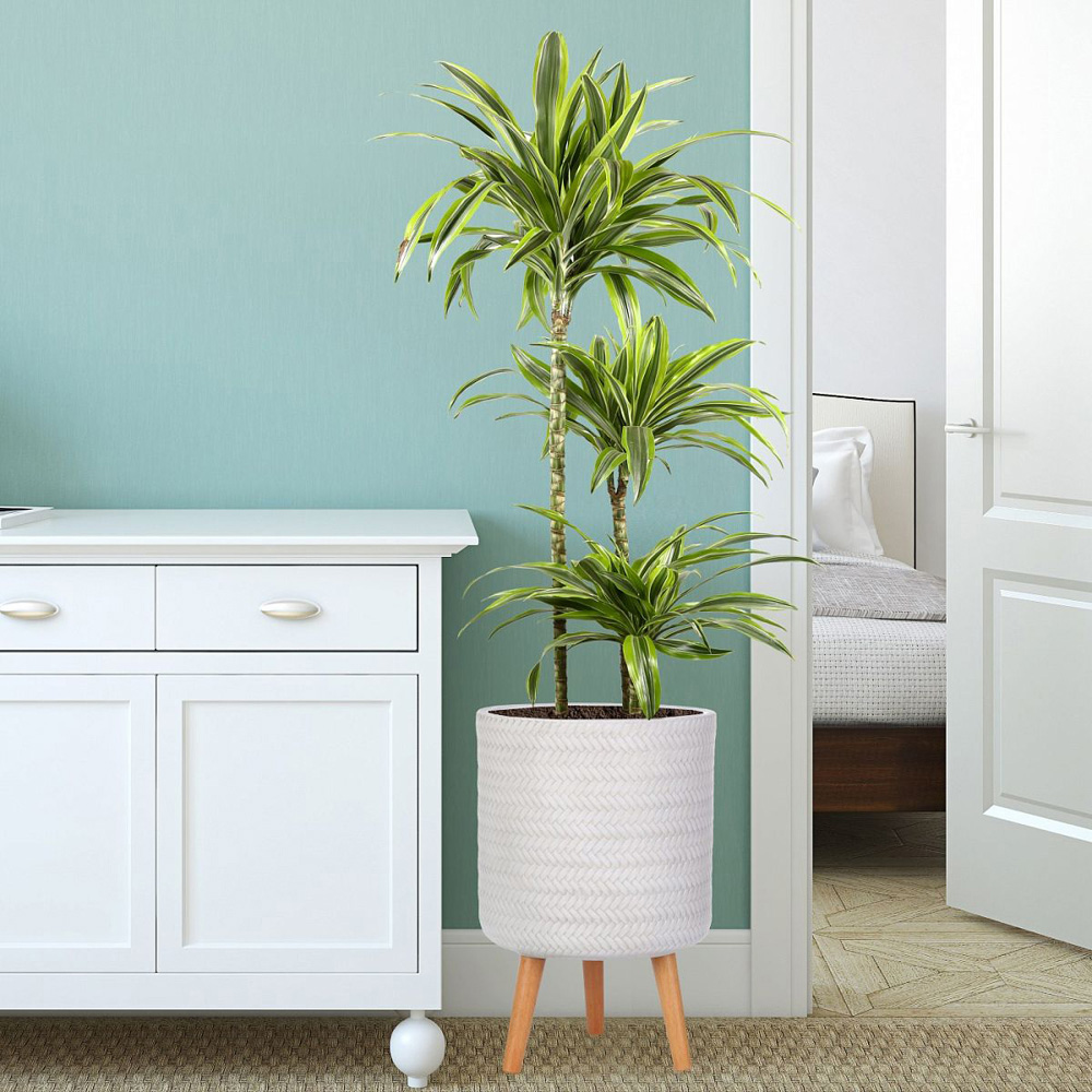 wilko Plaited Style White Indoor Cylinder Plant Pot with Legs 46cm Image 2