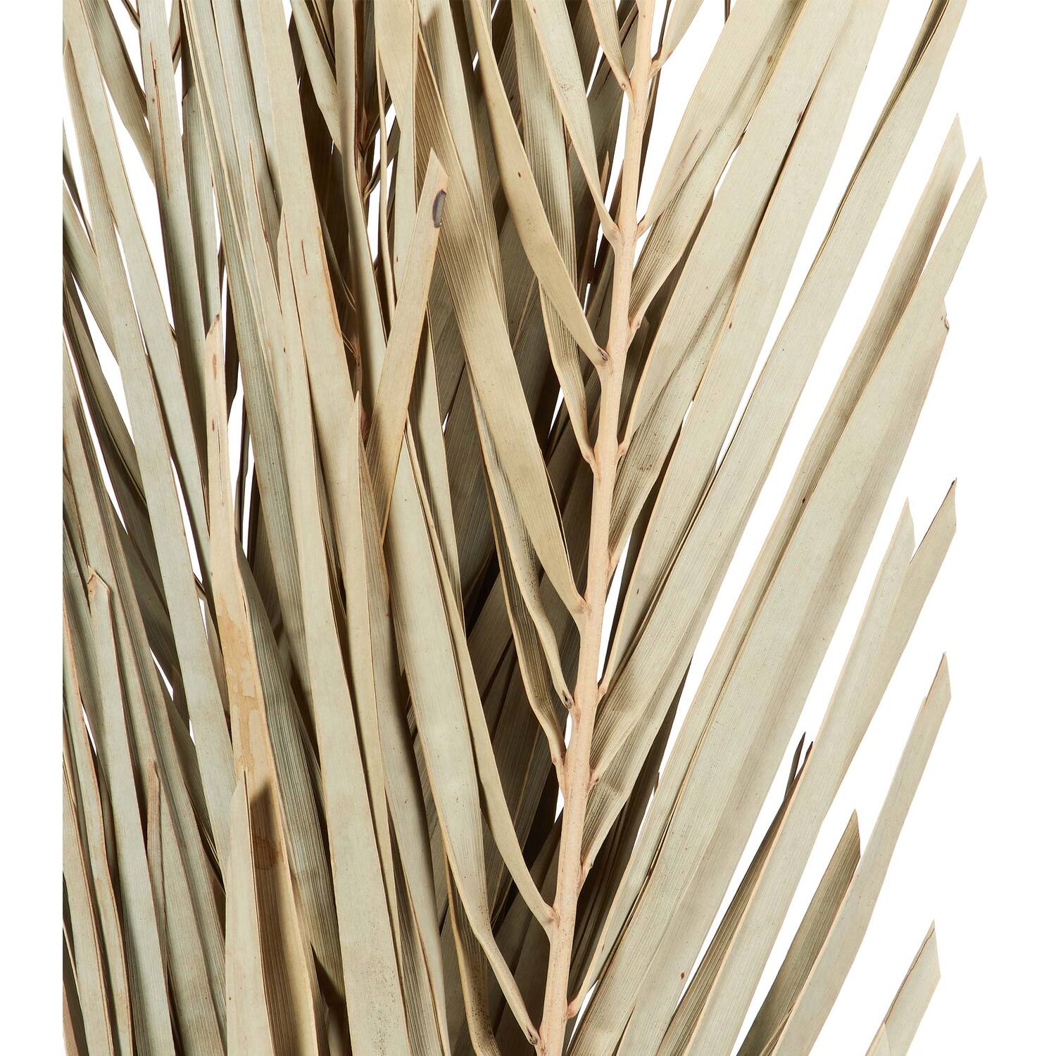 Set of 3 Palm Leaves - Natural Image 2