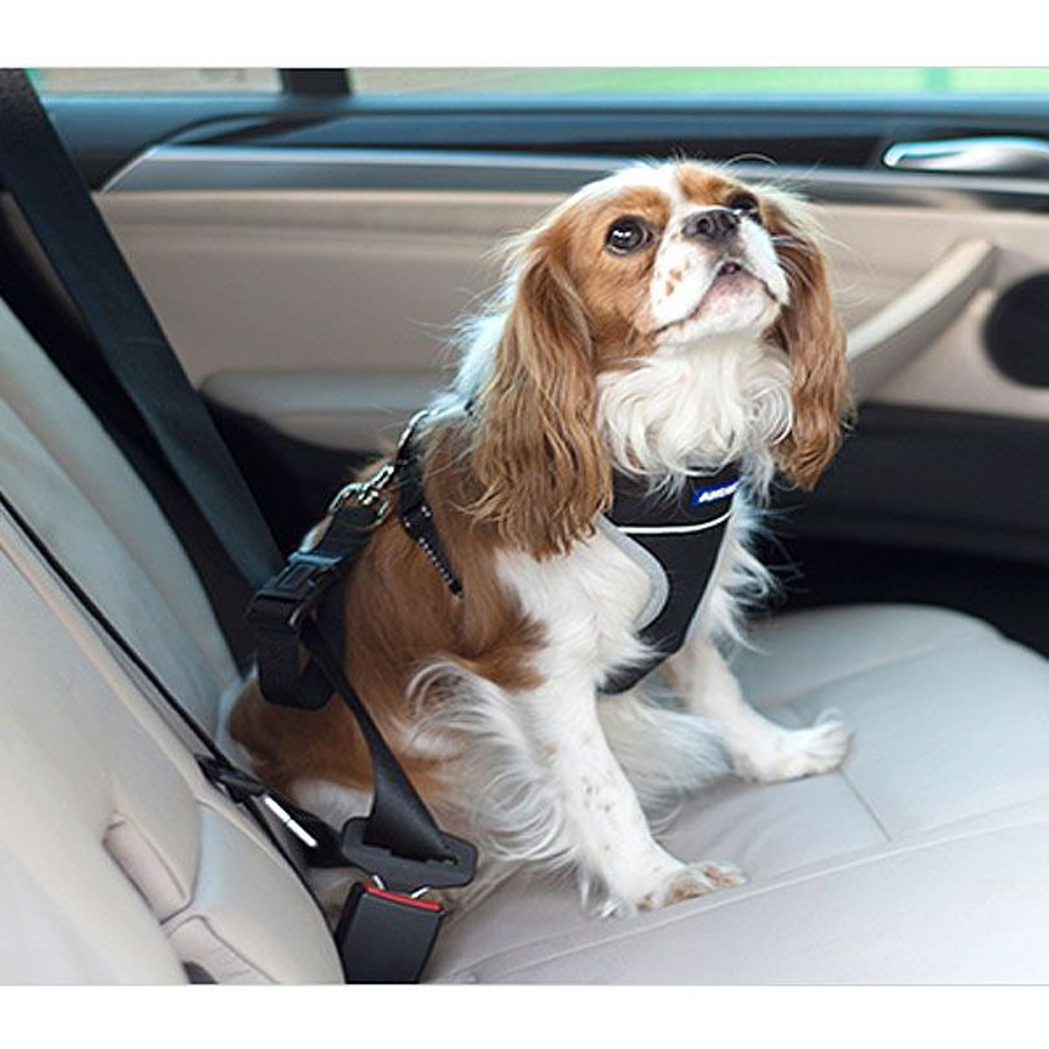 Ancol Travel and Exercise Dog Harness - Extra Large Image 2