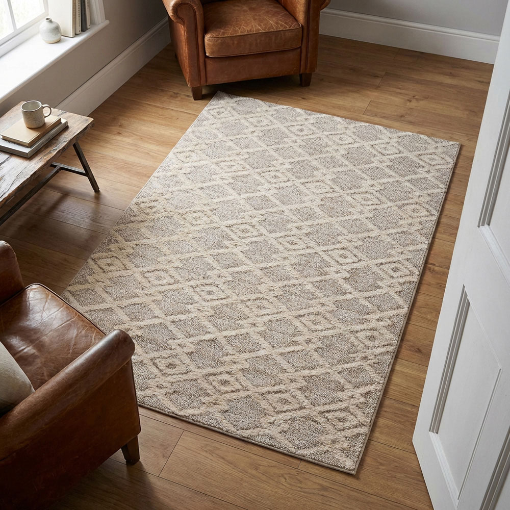 Apollo Geometric Patterned Rug  - Neutral / 120cm Image 2