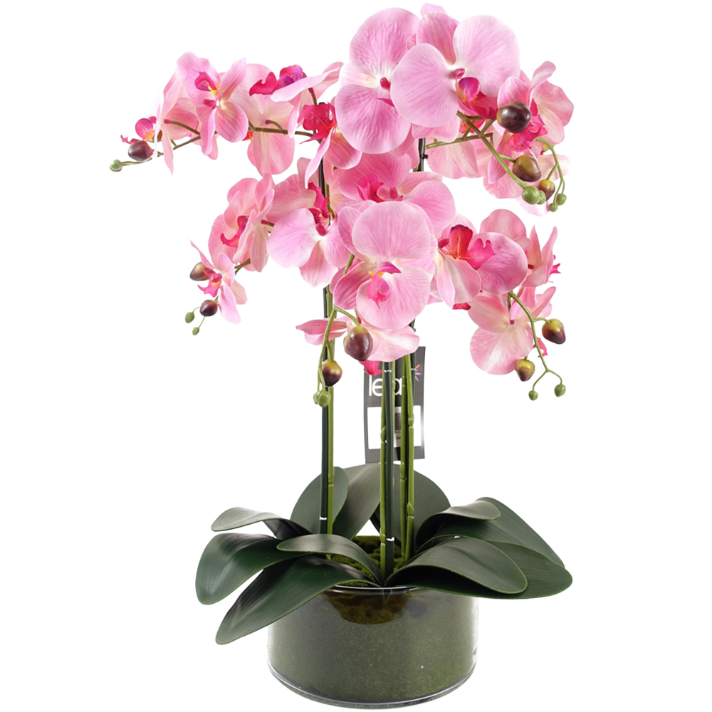 Leaf Pink Orchid Artificial Plant in Glass Planter 50cm Image 1