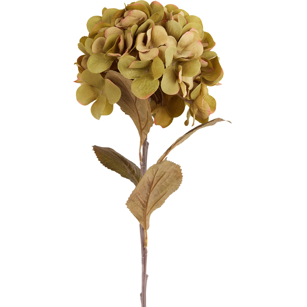 Autumn Hydrangea Stem Image 5
