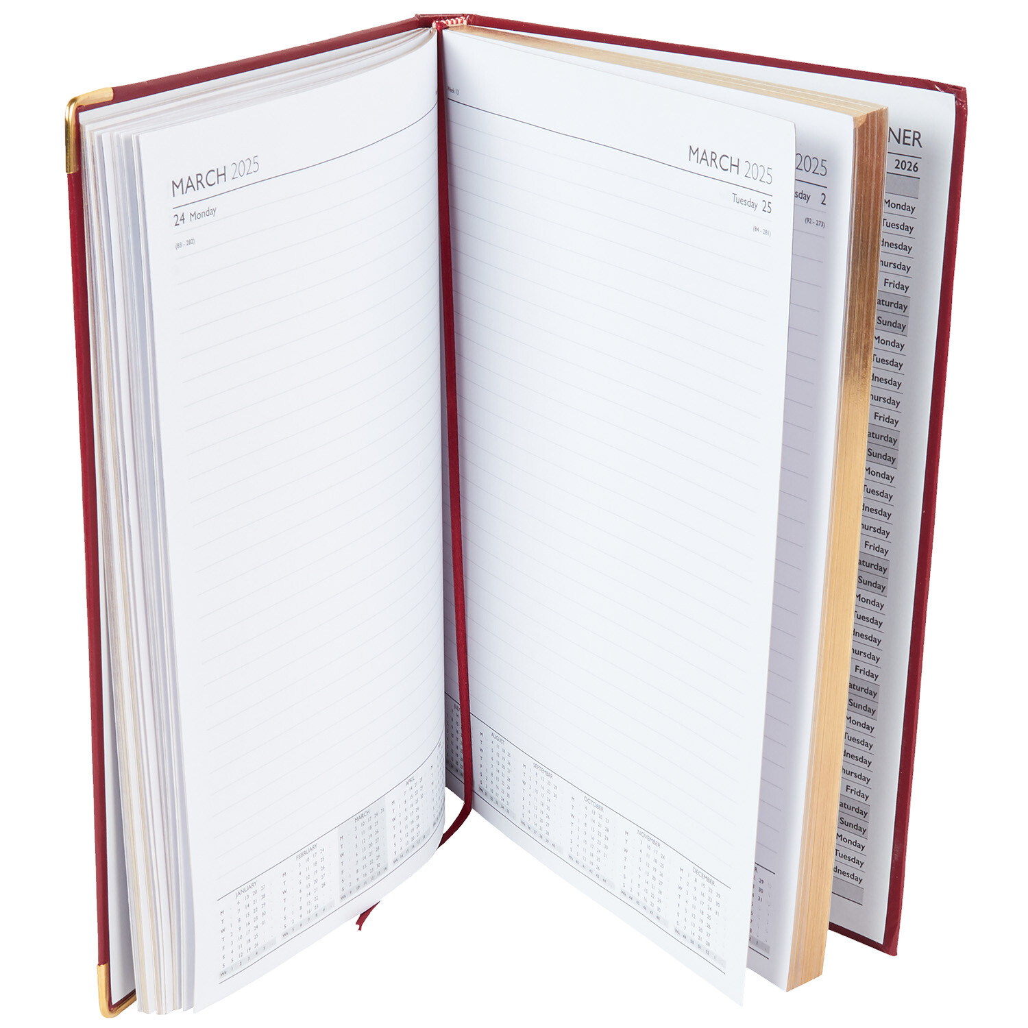 2025 DAP Diary A4 Image 4