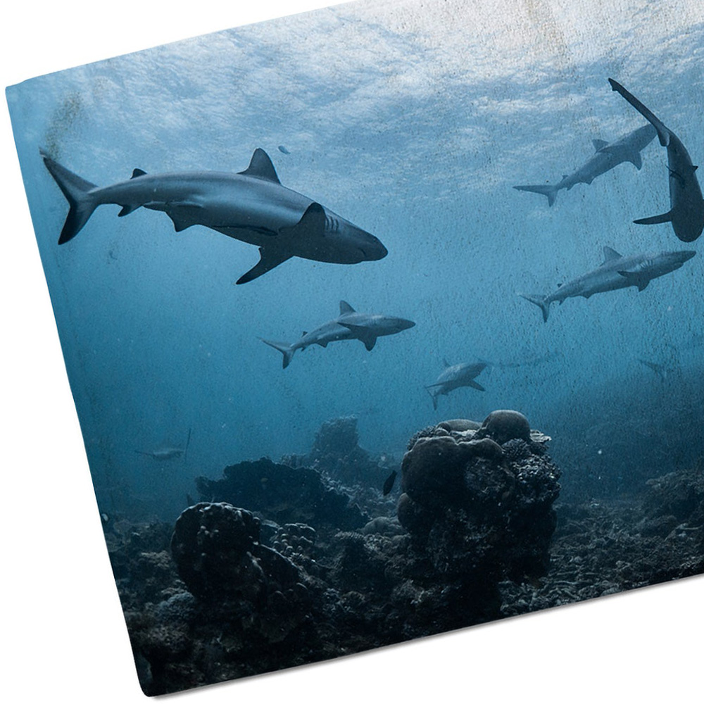 Benjamin Tate Design Schooling Reef Sharks Bath Towel Image 2