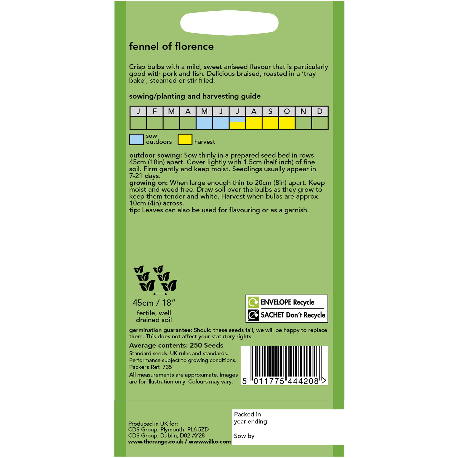 Wilko Fennel of Florence Seeds Image 2