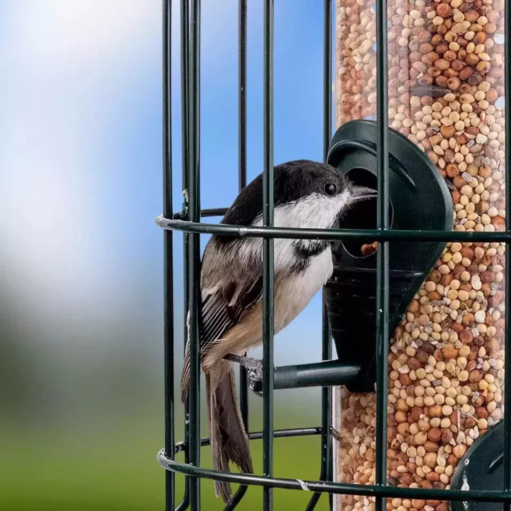 Marco Paul Large Squirrel Proof Bird Seed Feeder 2 Pack Image 4