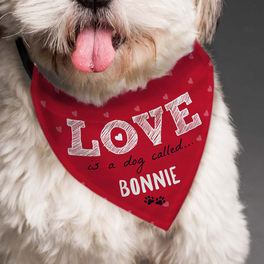 Personalised Memento Personalised Love Dog Bandana Image 3