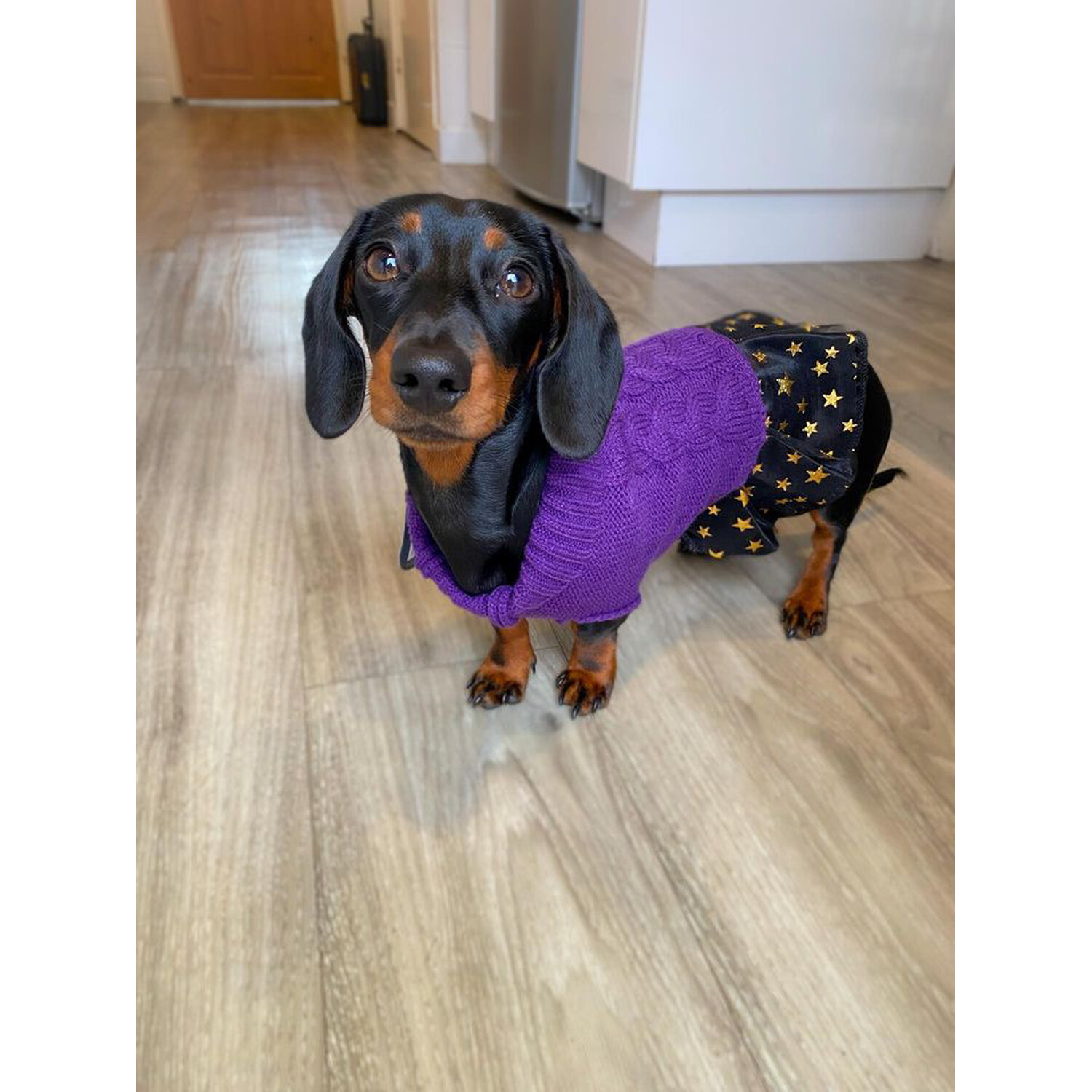 Pet Halloween Jumper Dress - Purple / 30cm Image 5