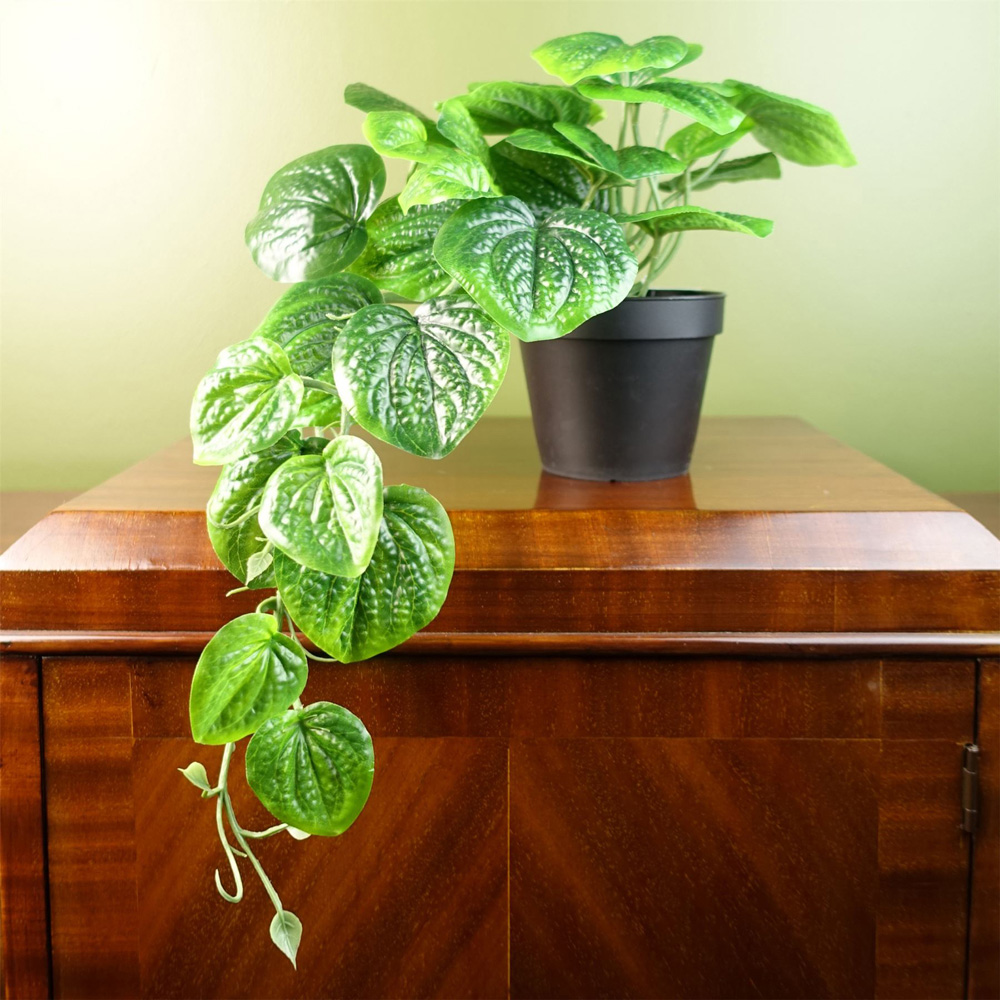 Botanik Green Trailing Pothos Artificial Plant 35cm Image 6