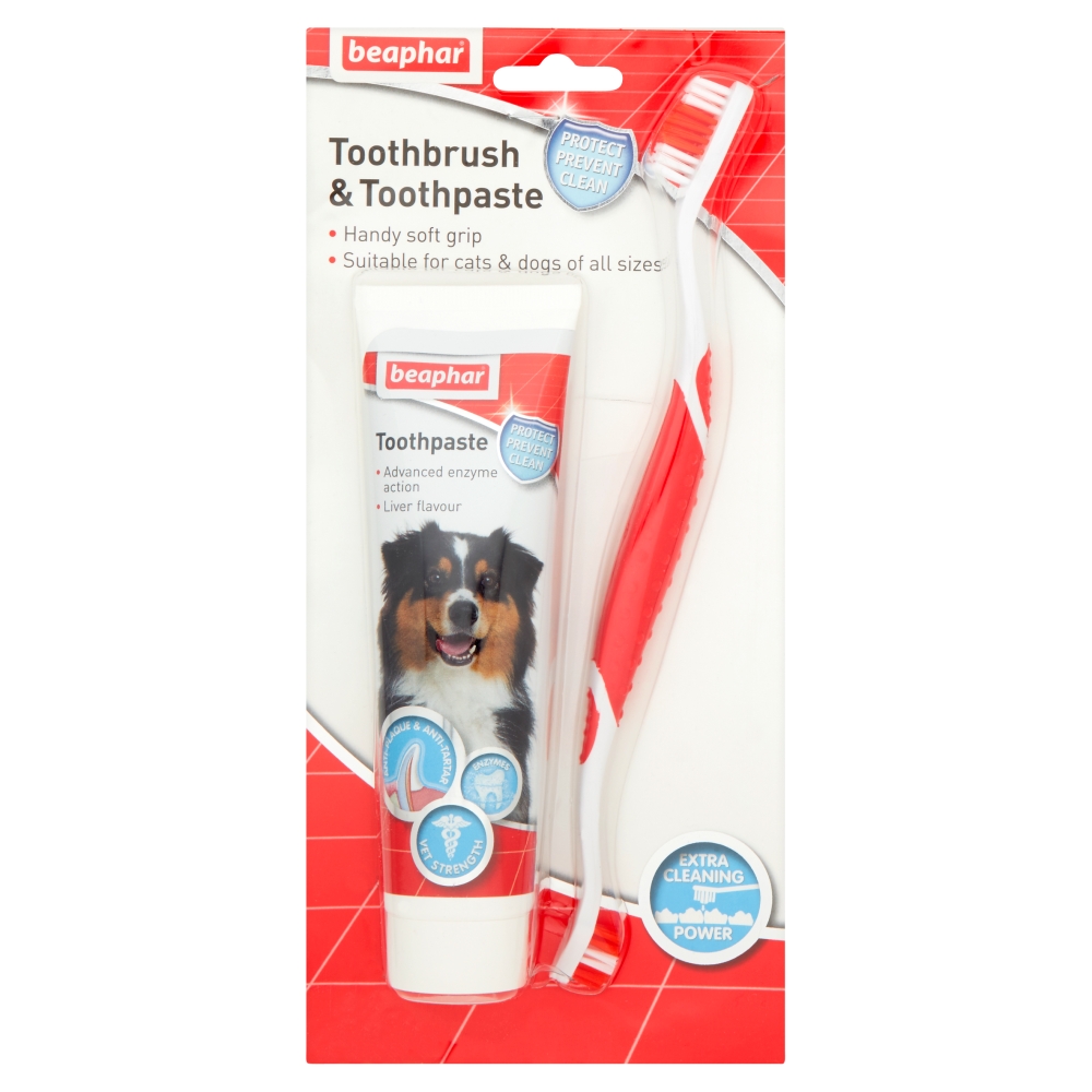Beaphar Toothbrush and Toothpaste for All Sizes of Dogs Image