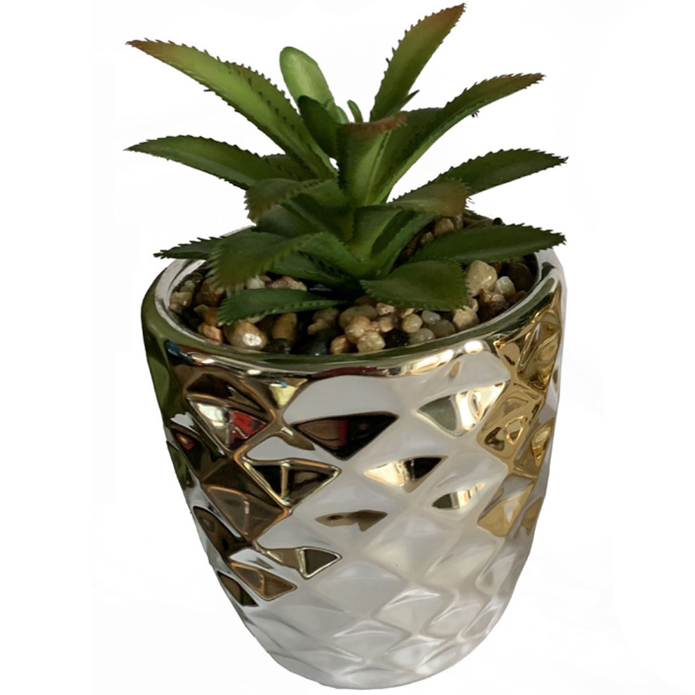Leaf Silver and Gold Ceramic Planter with Cactus and Dracaena 15cm Set of 2 Image 2