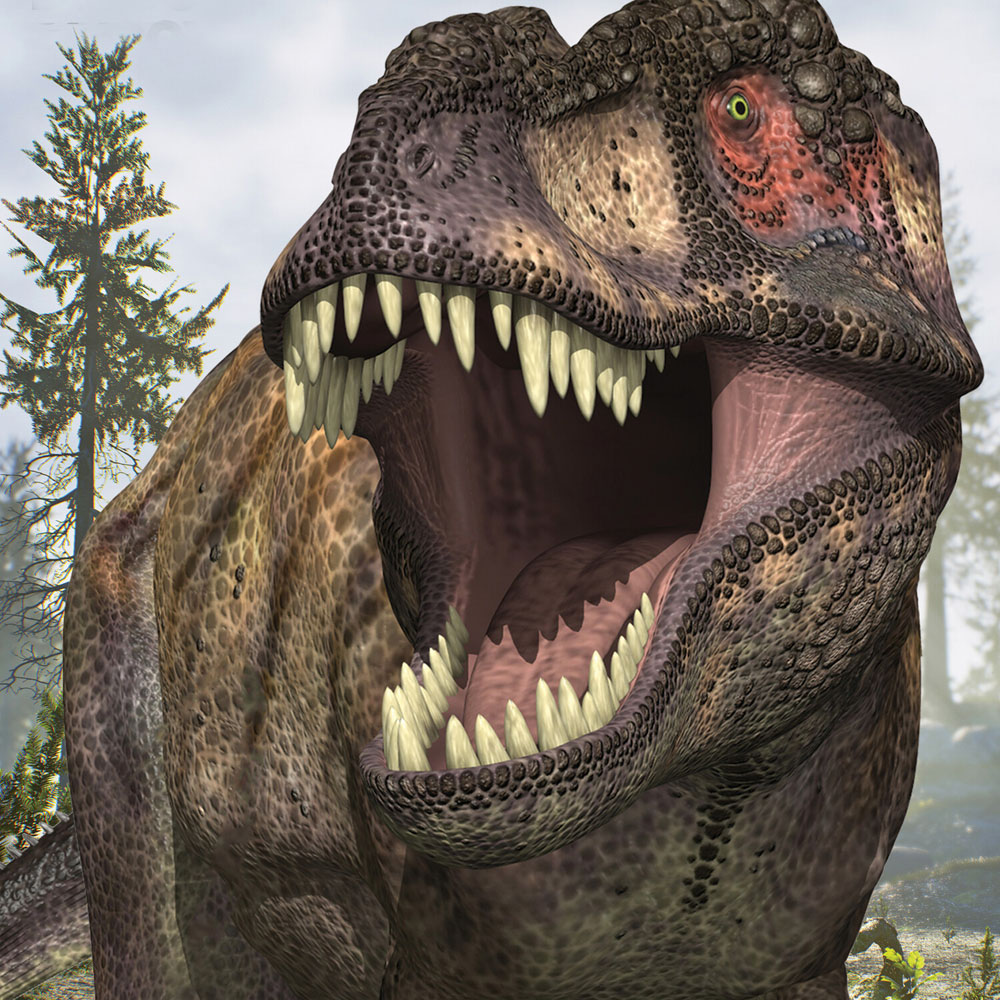 Pack of 2 Dinosaur 3D Puzzles Image 2