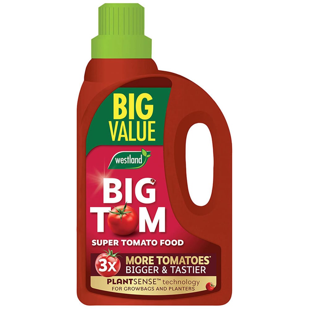 Westland Big Tom Tomato Plant Feed 5L Image