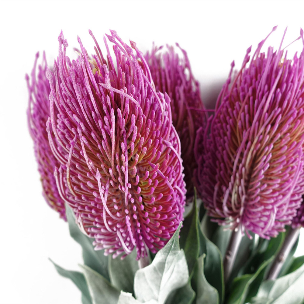 Leaf Pink Banksia Menziesii Artificial Stem 75cm 6 Pack Image 5