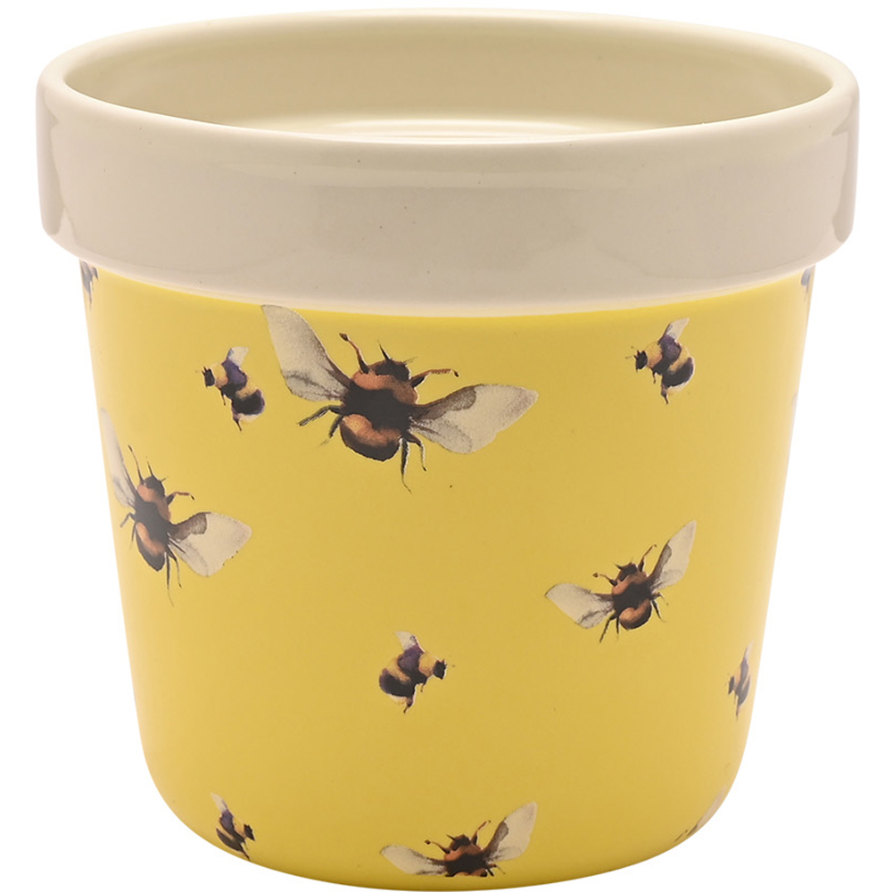 Country Living Bee Motif Planter Set of 2 Image 3