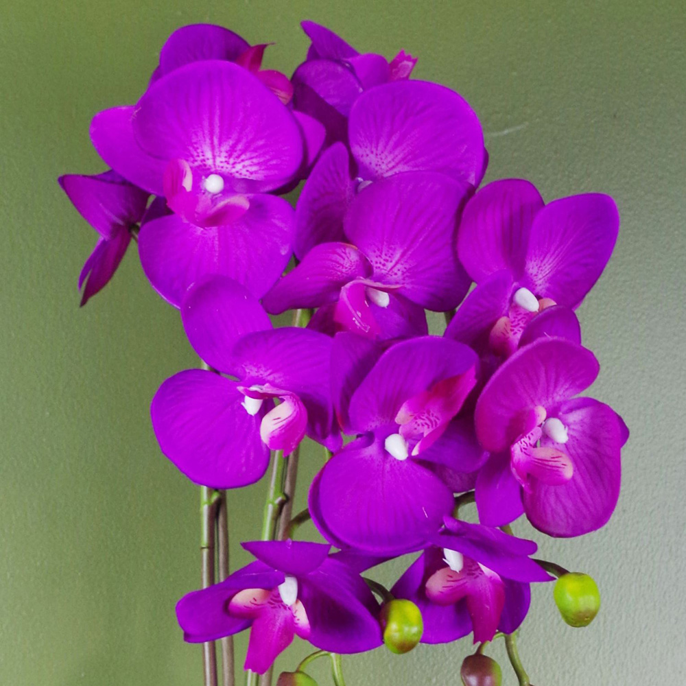 Botanik Purple Orchid Artificial Plant in Gold Pot 52cm Image 3
