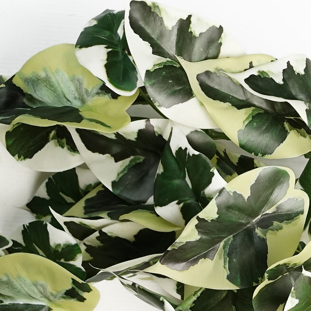 Leaf Trailing Variegated Marble Pothos Artificial Plant 40cm Image 3