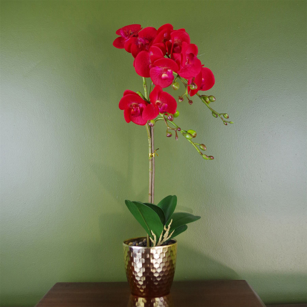 Leaf Red Leopard Phalaenopsis Orchid Artificial Plant in Gold Pot 50cm Image 2