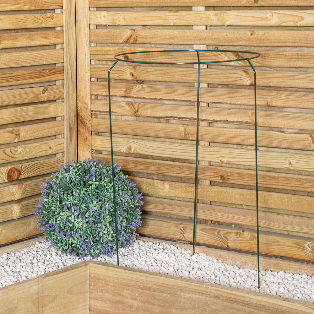 Samuel Alexander Metal Herbaceous Plant Support Ring 40 x 60cm Image 4