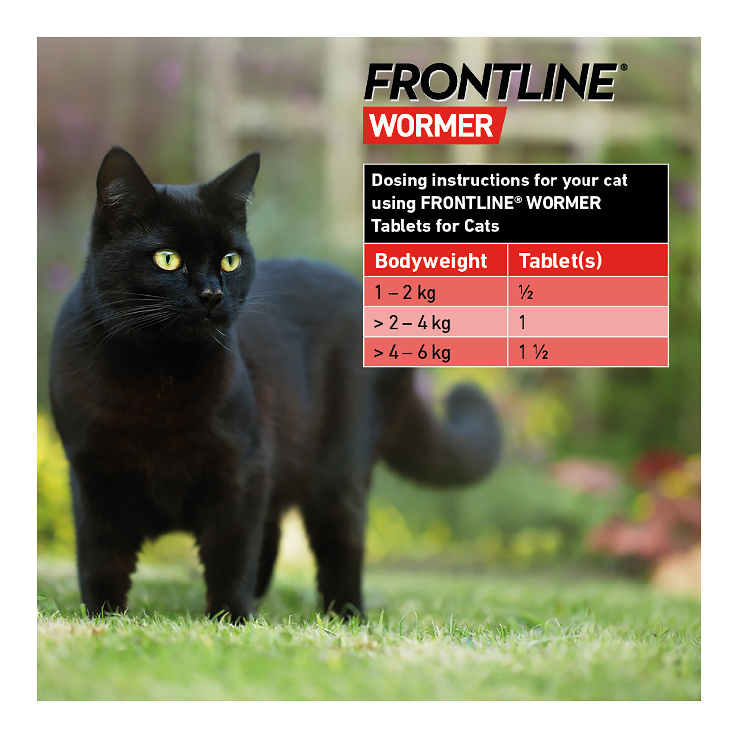 Frontline Wormer Tablets for Cats Image 2