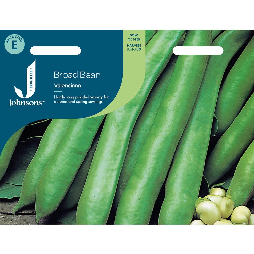 Broad Bean Valenciana Seeds Image 1