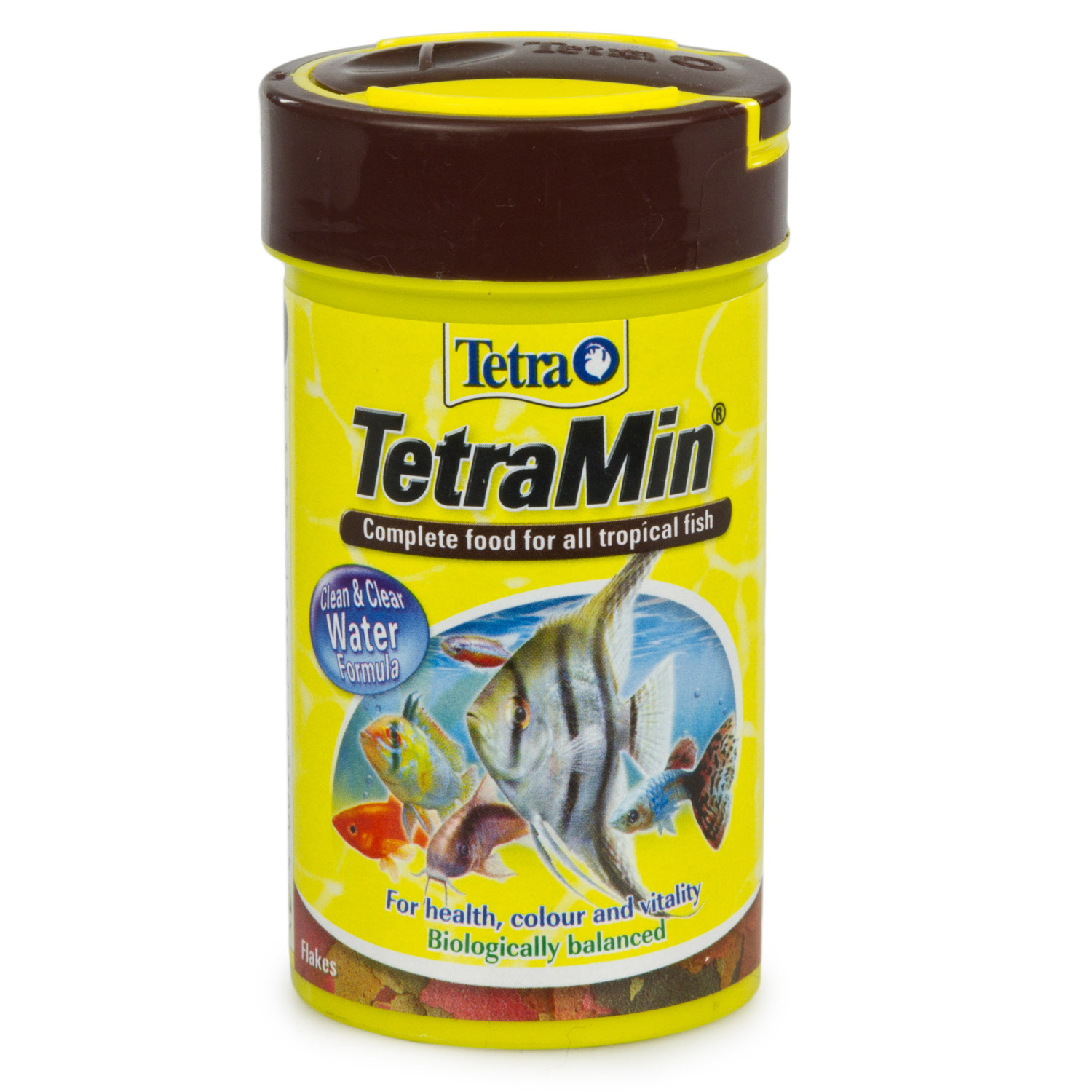 TetraMin Flakes - 100g Image