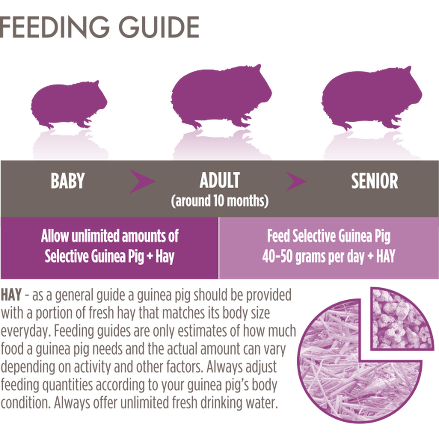 Science Selective Balanced Guinea Pig Food 1.5 Kg Image 3