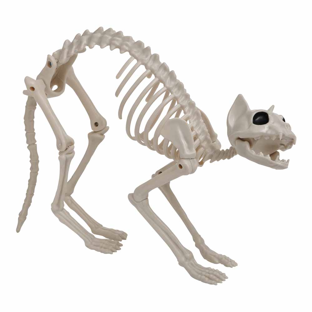 Wilko Skeleton Kitten Image 1