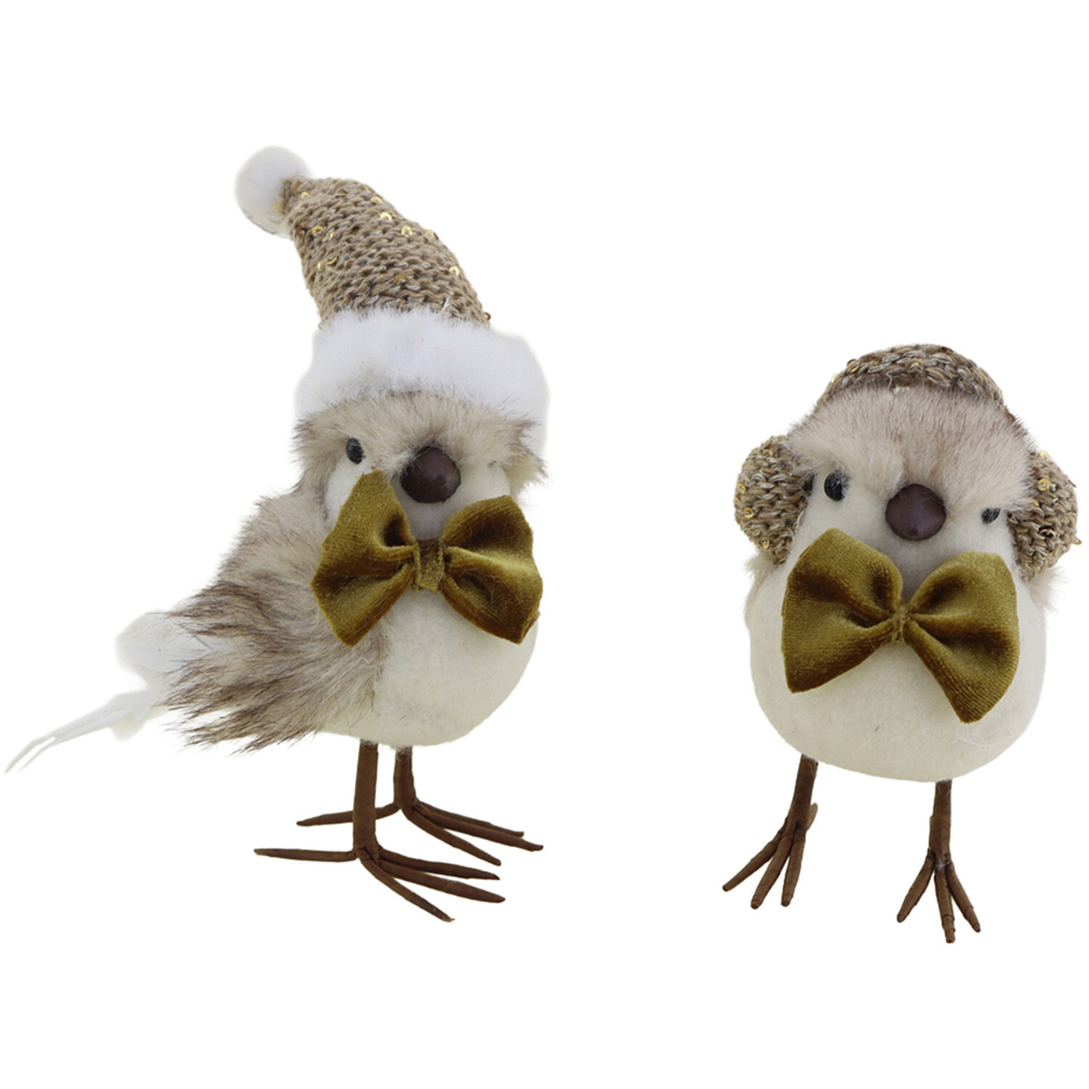 Charming Dapper Robin Decoration Image 8