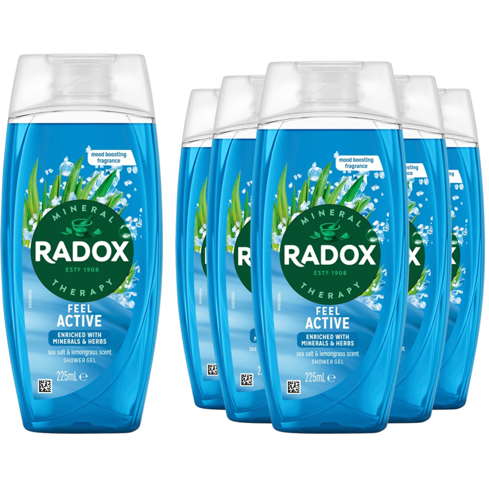 Radox Mineral Therapy Feel Active Sea Salt and Lemongrass Shower Gel 225ml 6 Pack Image 1
