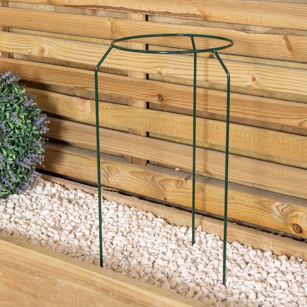 Samuel Alexander Green Metal Herbaceous Plant Support Ring 20cm Image 5