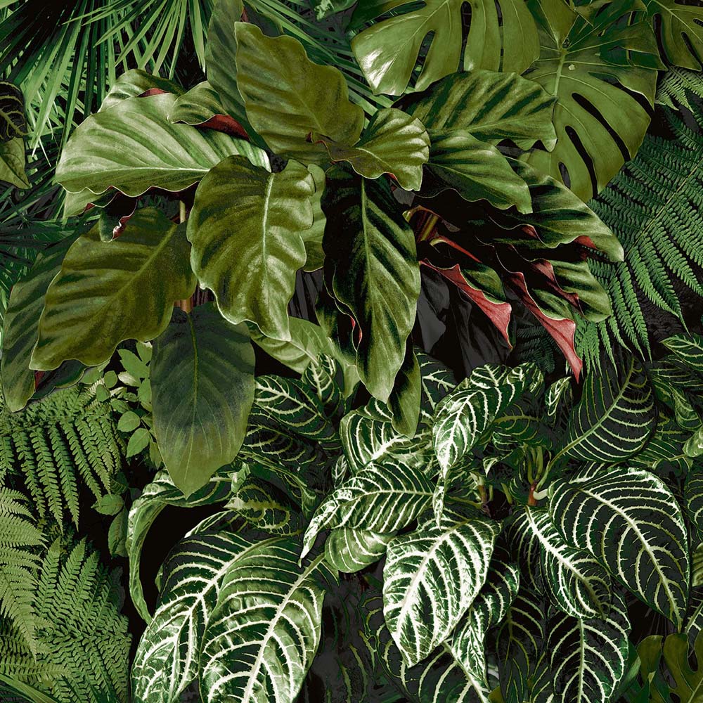 Grandeco Living Wall Tropical Fern Foliage Biophilic Green Wallpaper Image 1