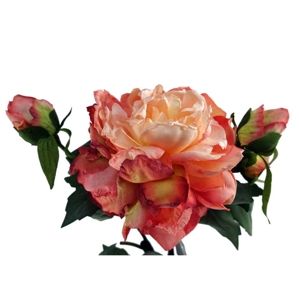 Leaf Pink Peony Single Stem Artificial Flower 2ft 6 Pack Image 5