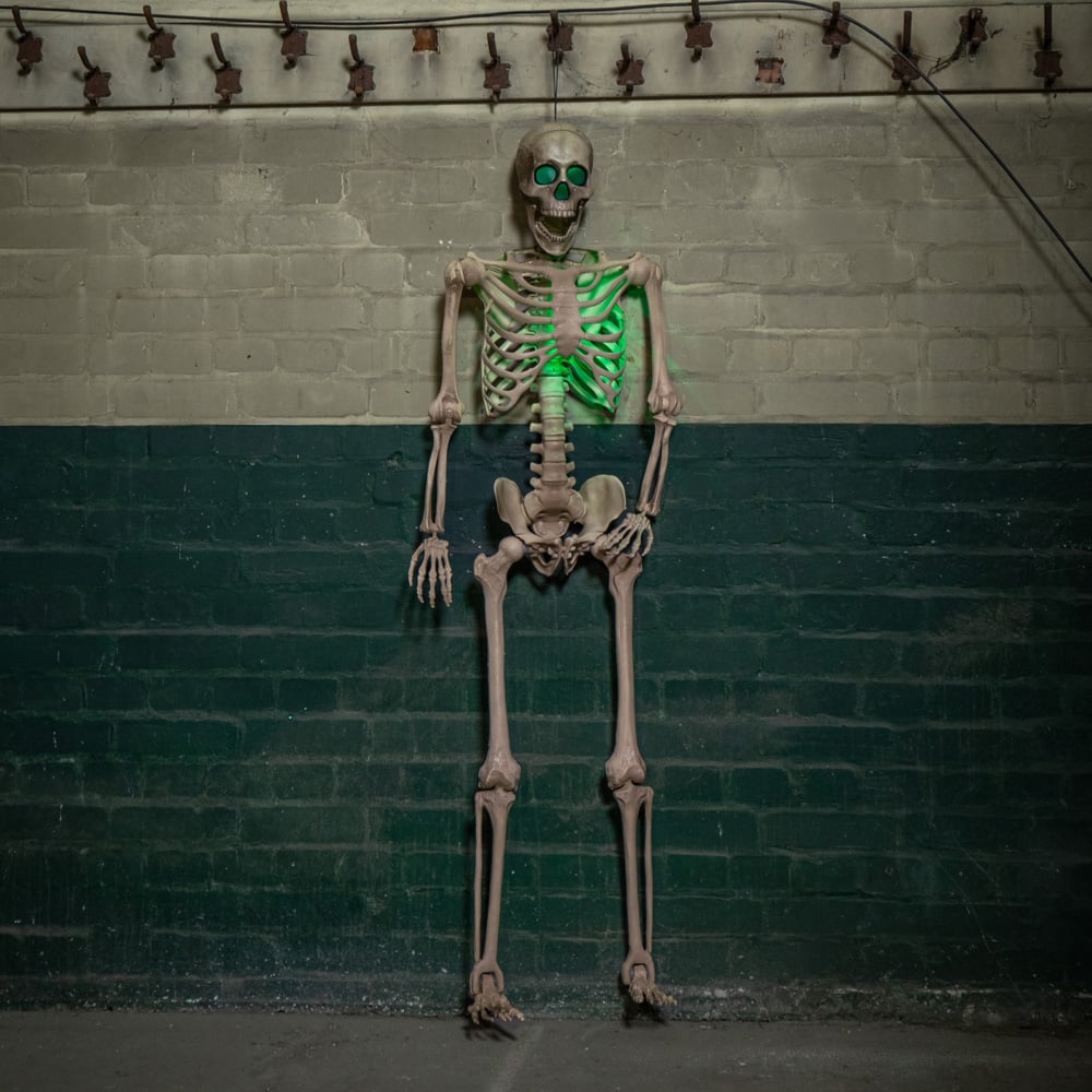 Samuel Alexander Green LED Battery Powered Skeleton Halloween Decoration 5ft Image 2
