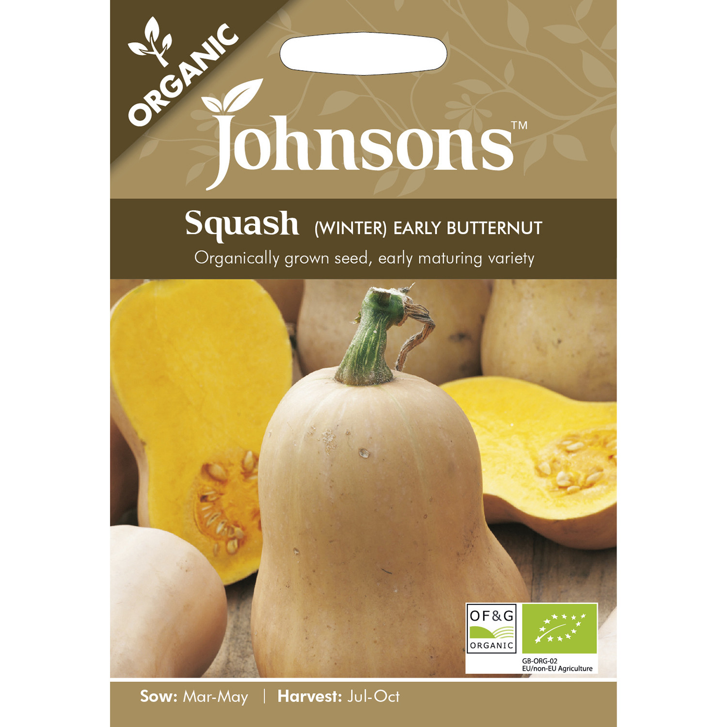 Johnsons Organic Early Butternut Winter Squash Seeds Image 2