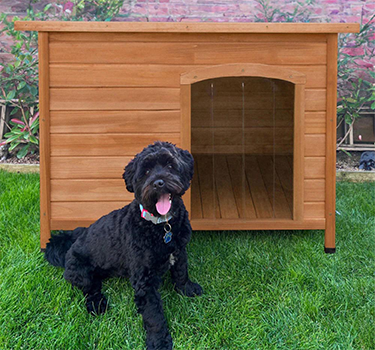 Dog Kennels