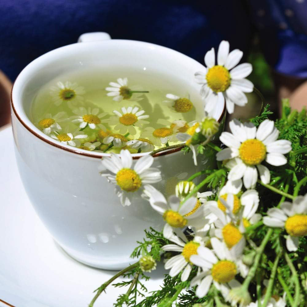 Thompson & Morgan Herb Chamomile Flower 700 Seeds Packet Image 2