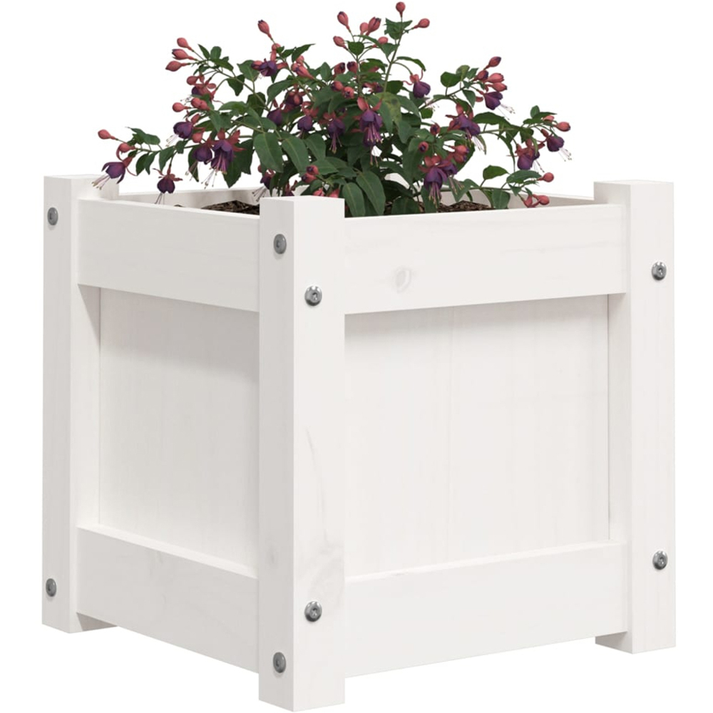 vidaXL White Solid Pine Wood Garden Planter 31 x 31 x 31cm 2 Pack Image 3