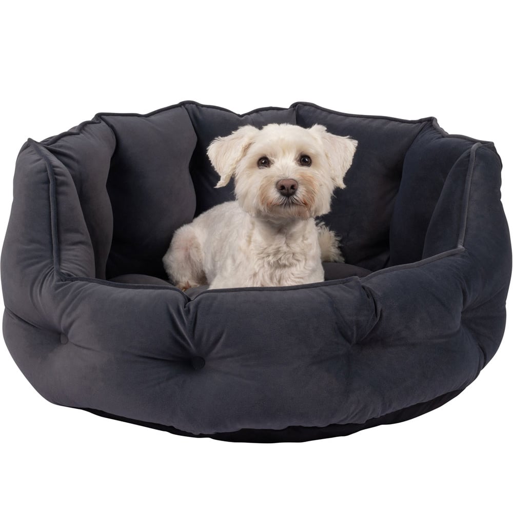 Bunty Monarch Large Dark Grey Dog Bed Image 4
