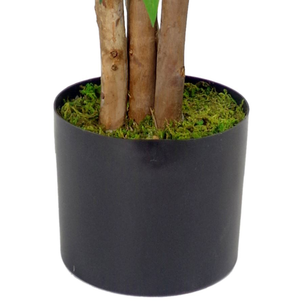 Botanik Smilax Ficus Artificial Tree with Real Wood Trunk in Pot 3ft Image 3
