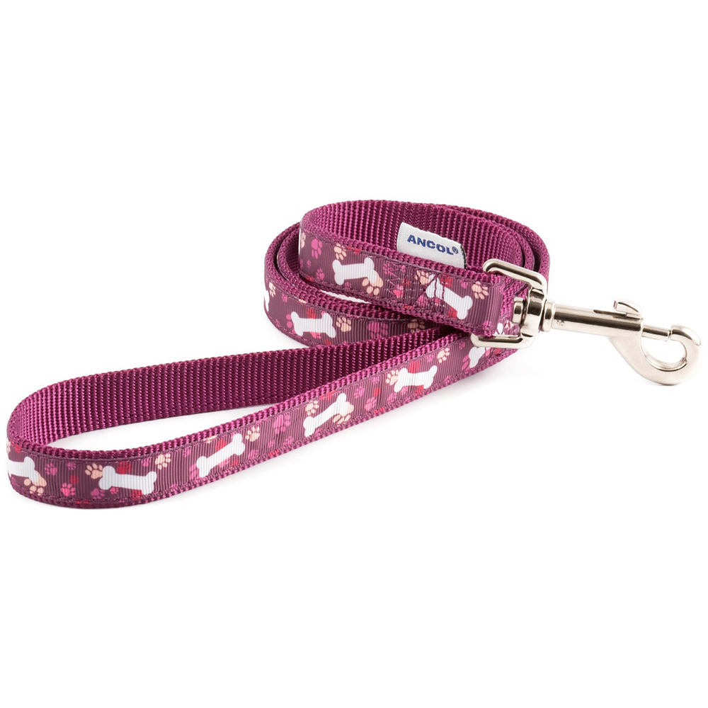 Purple Bone Lead Image