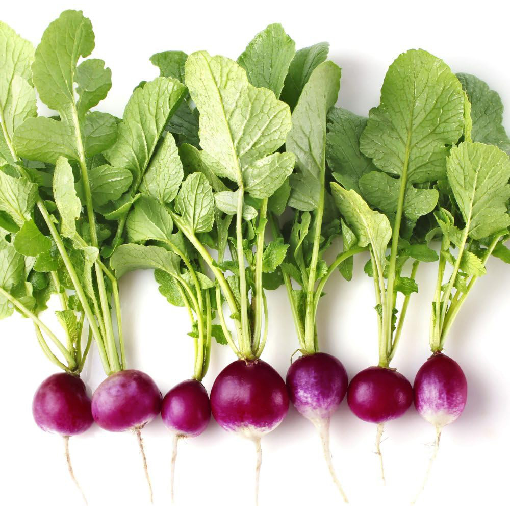 Thompson & Morgan Radish Diana Seeds Image 2