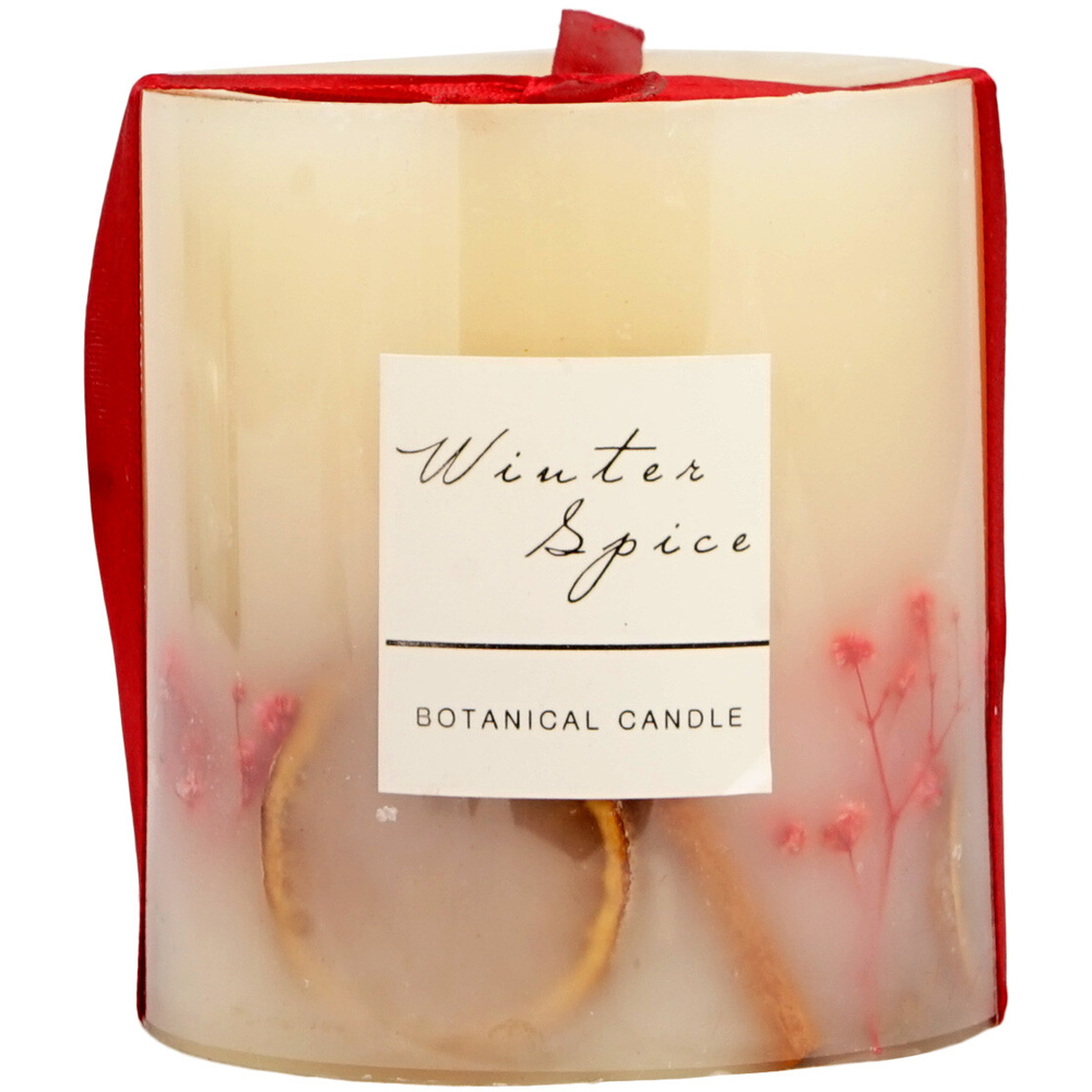 Winter Spice Botanical Candle - Cream Image 1