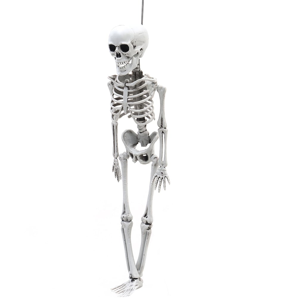 Living and Home Halloween Human Anatomy Skeleton 40cm Image 2