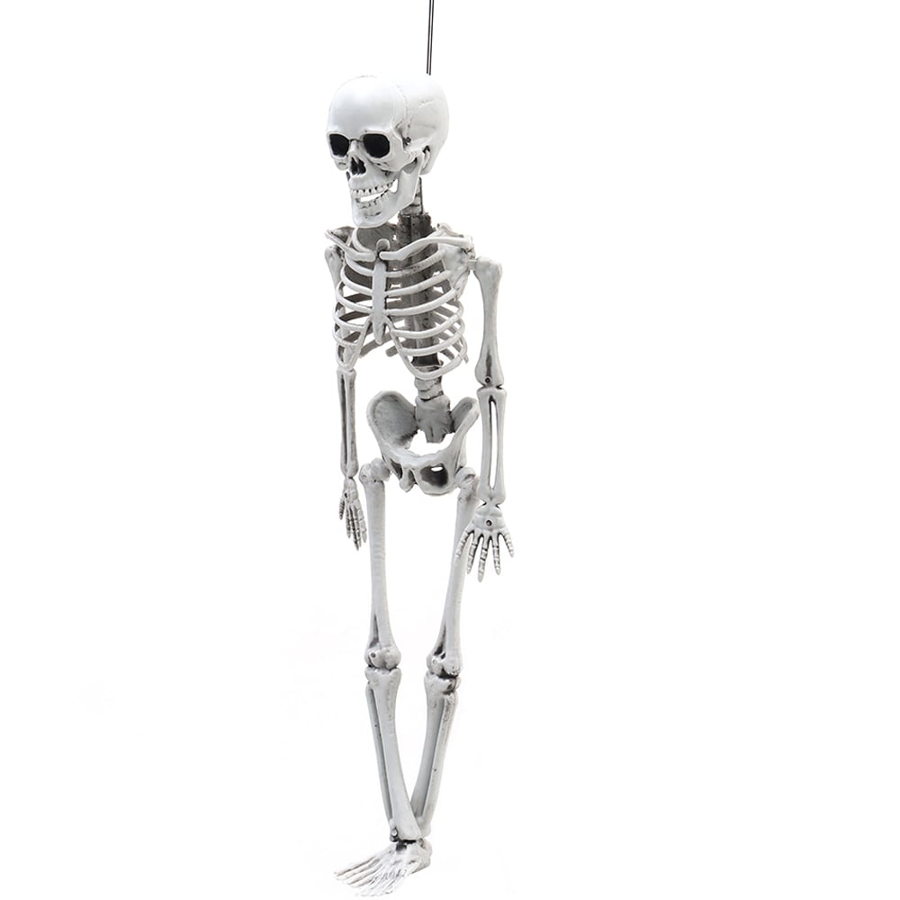 Living and Home Halloween Human Anatomy Skeleton 40cm Image 2