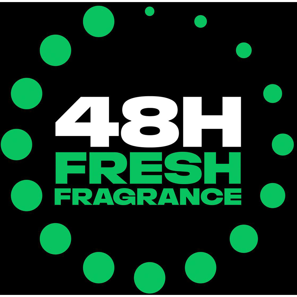 Lynx Jungle Fresh 48H Odour Protection Anti-Perspirant Deodorant Stick 50ml 30 Pack Image 6